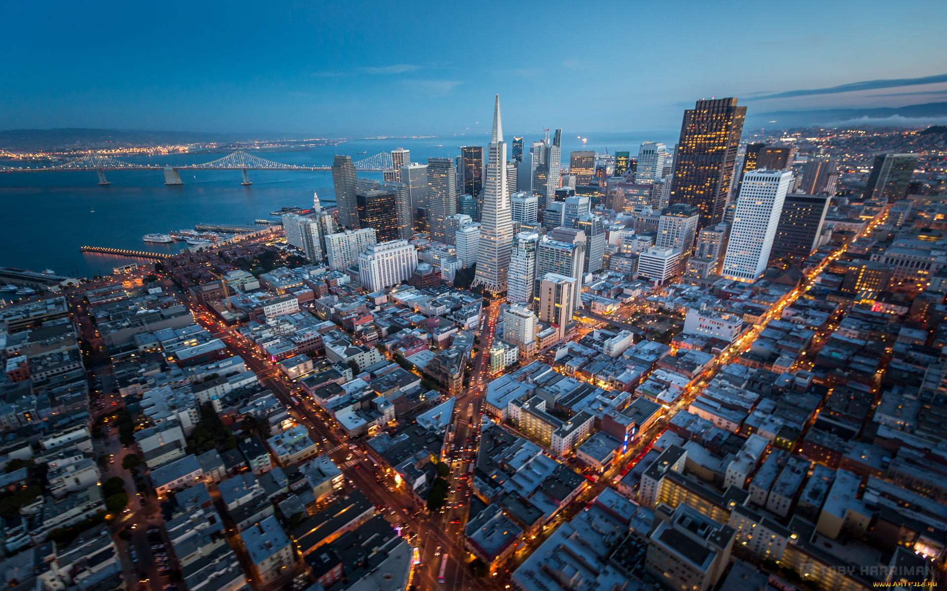 Сан франциско какой. Сан-Франциско (Калифорния). Сан Франциско панорама. Сан Франциско центр города. Сан-Франциско Калифорния панорама.
